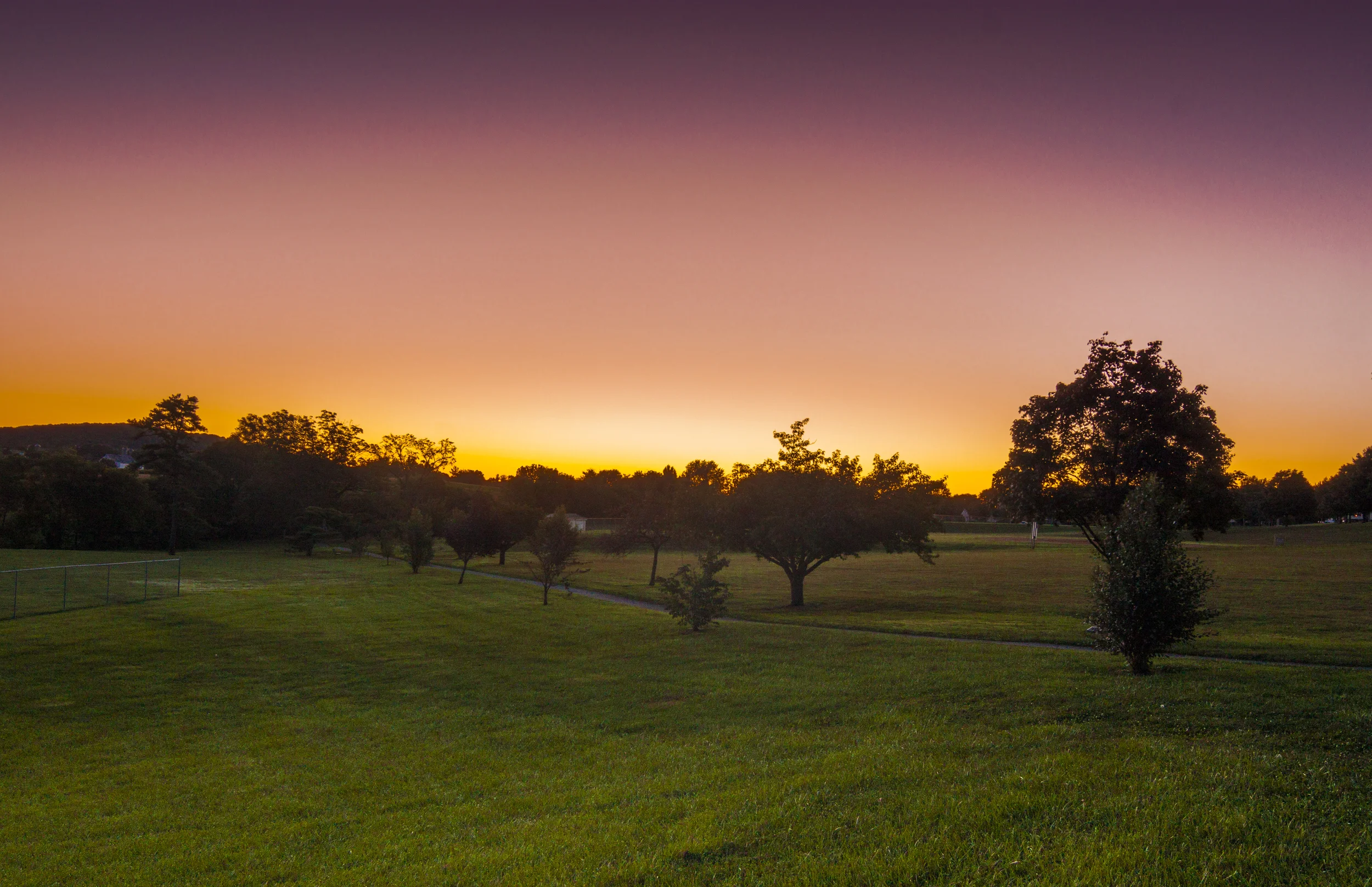 Purple Sunrise.jpg