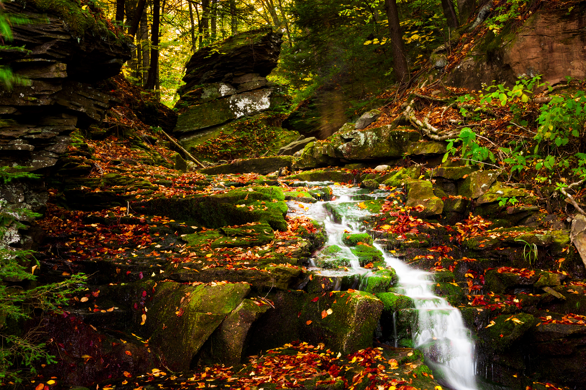 _MG_2789.jpg