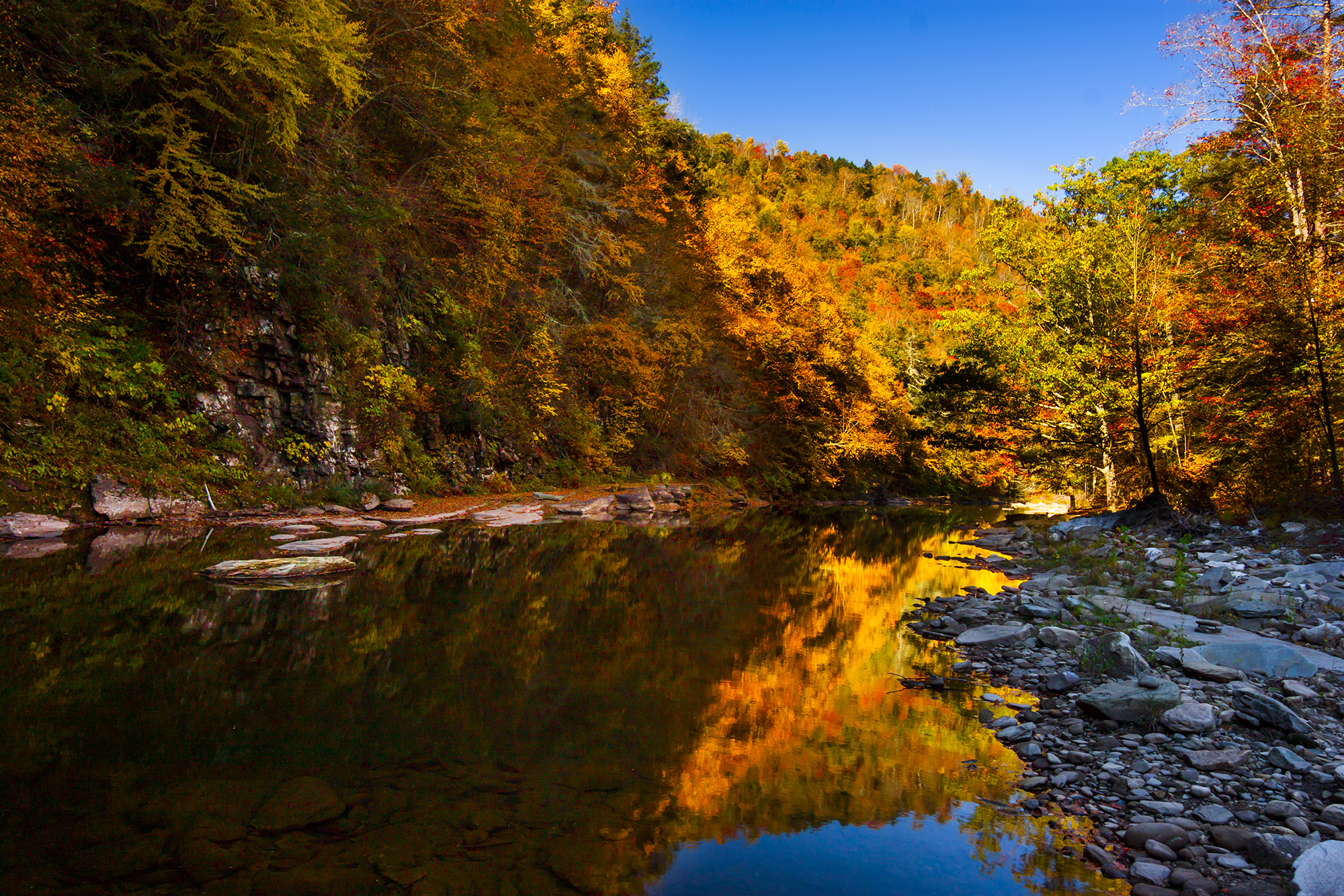 _MG_2869.jpg