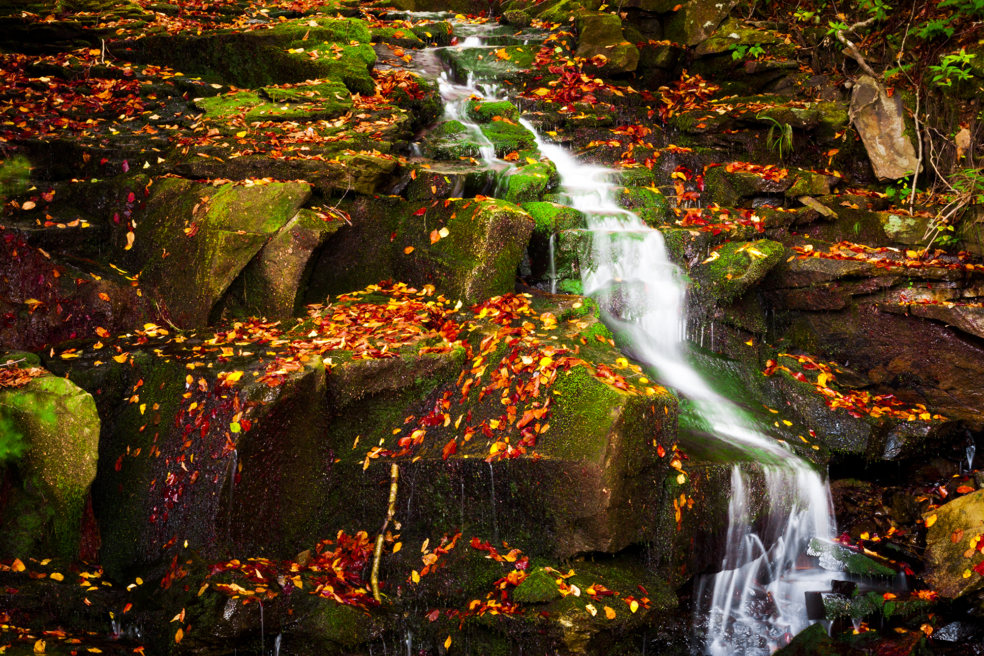 Colorful Waterfall.jpg