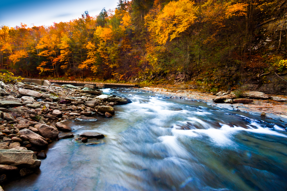 Autumn River