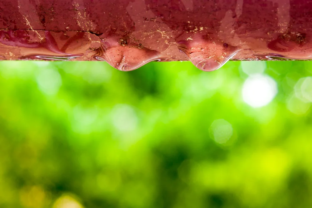 20130511-_MG_9533.jpg