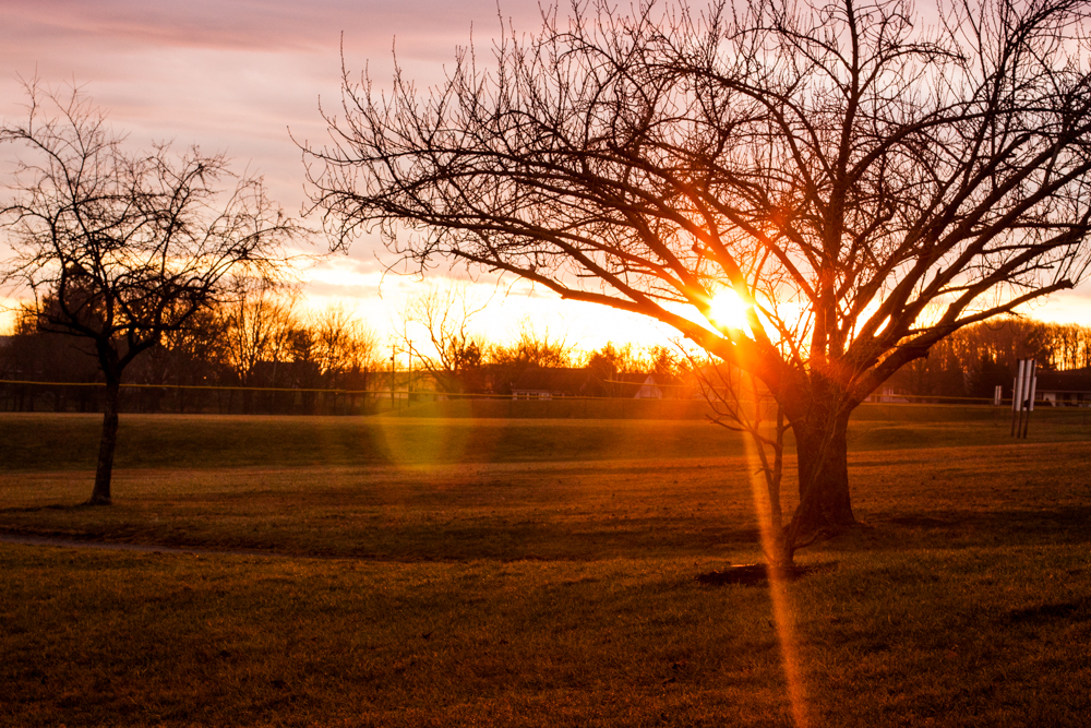 Beautiful Light As I Got To The Park