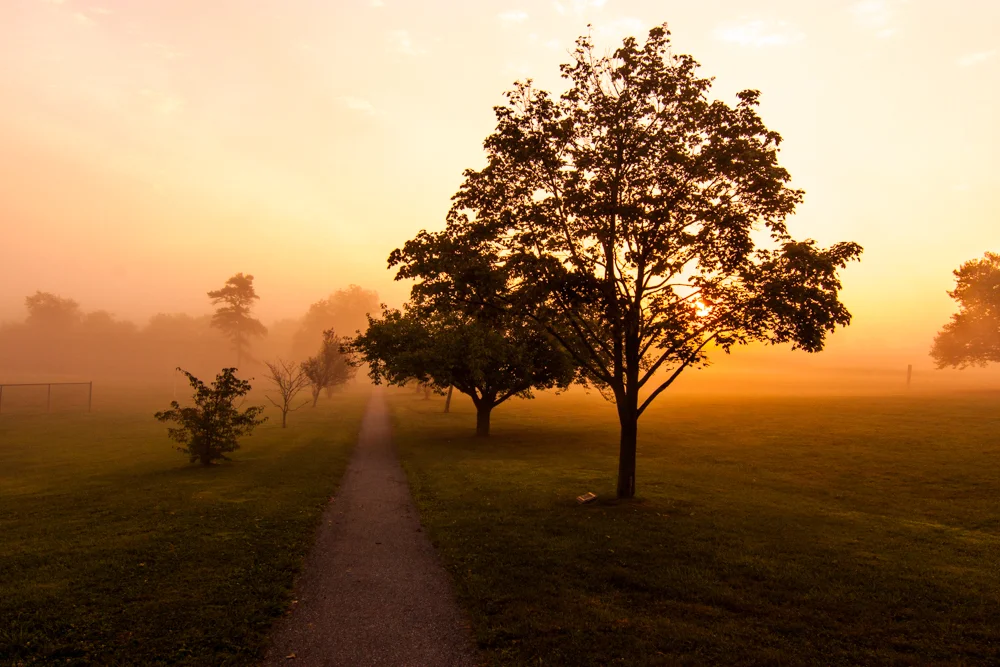 20140906-_MG_2554.jpg