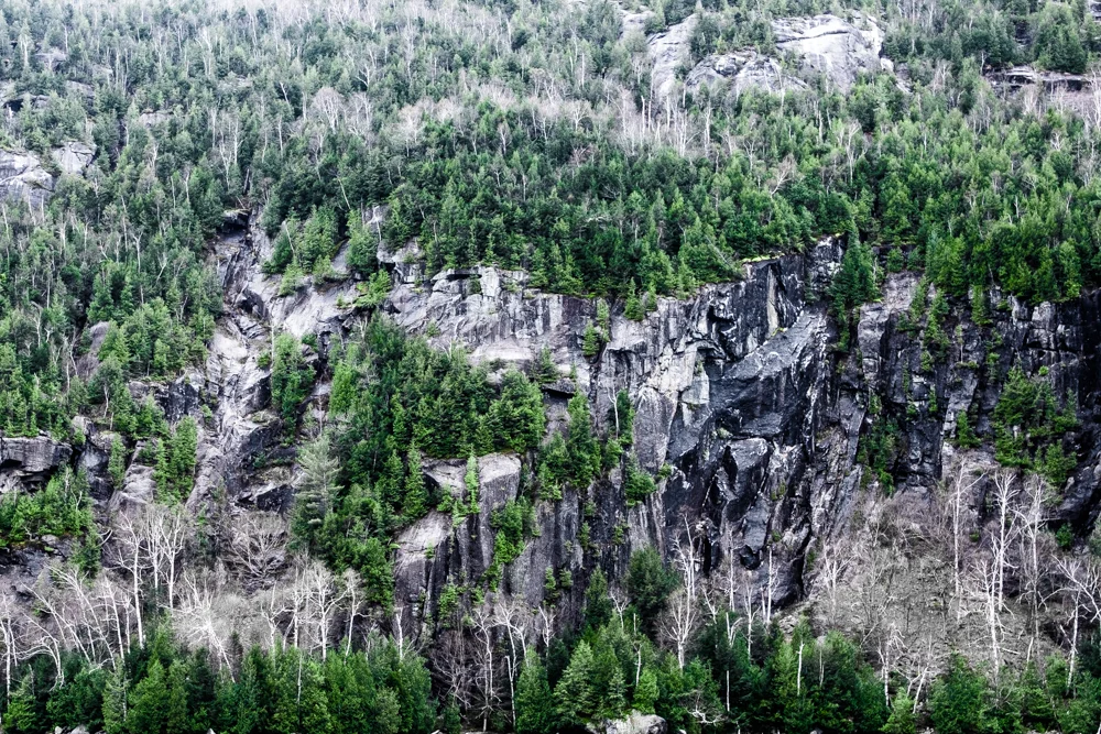 Write Lighting Abstract Landscape Trees Adirondack Mountains.jpg