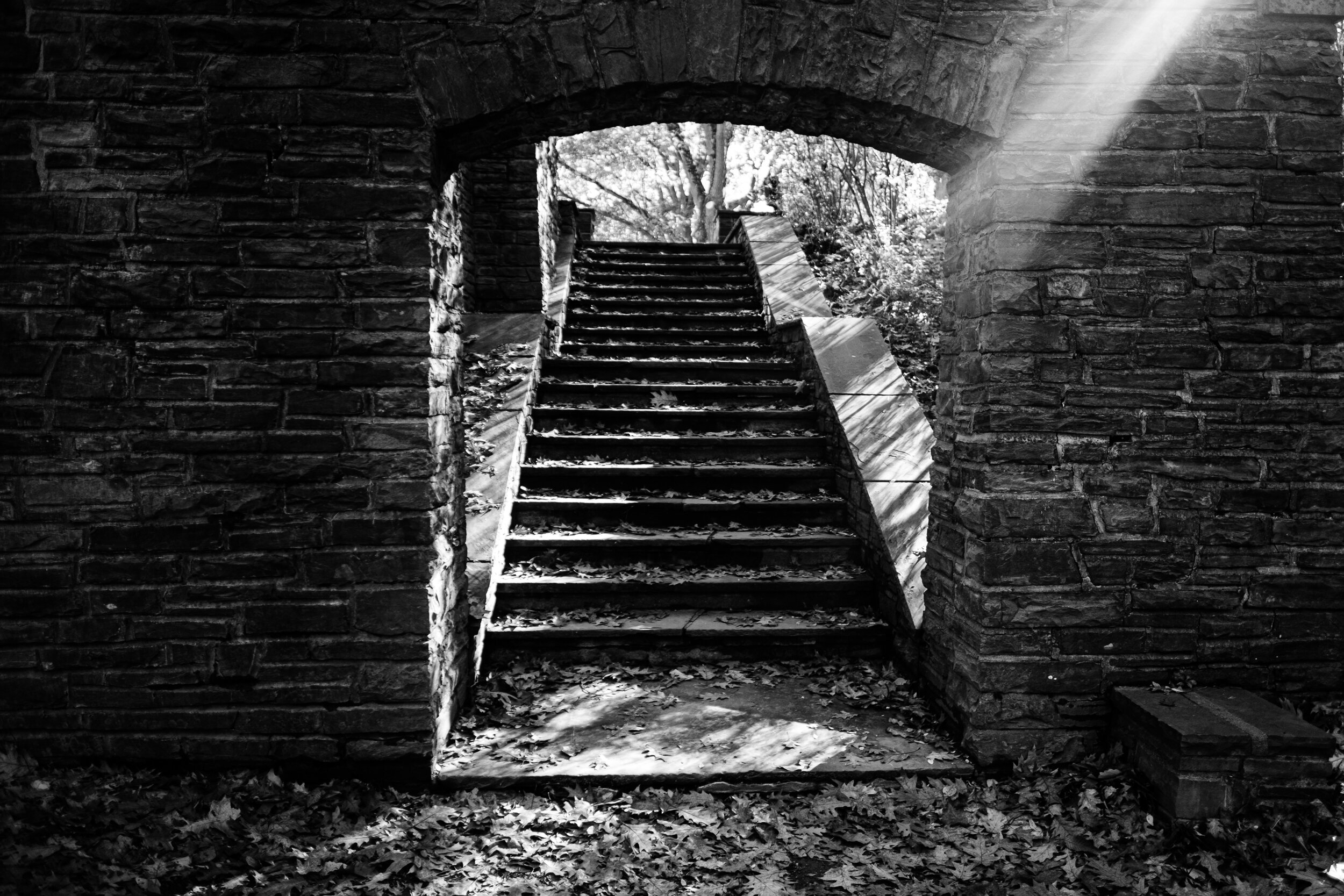 Watkins Glen Path Photography Write Lighting.jpg