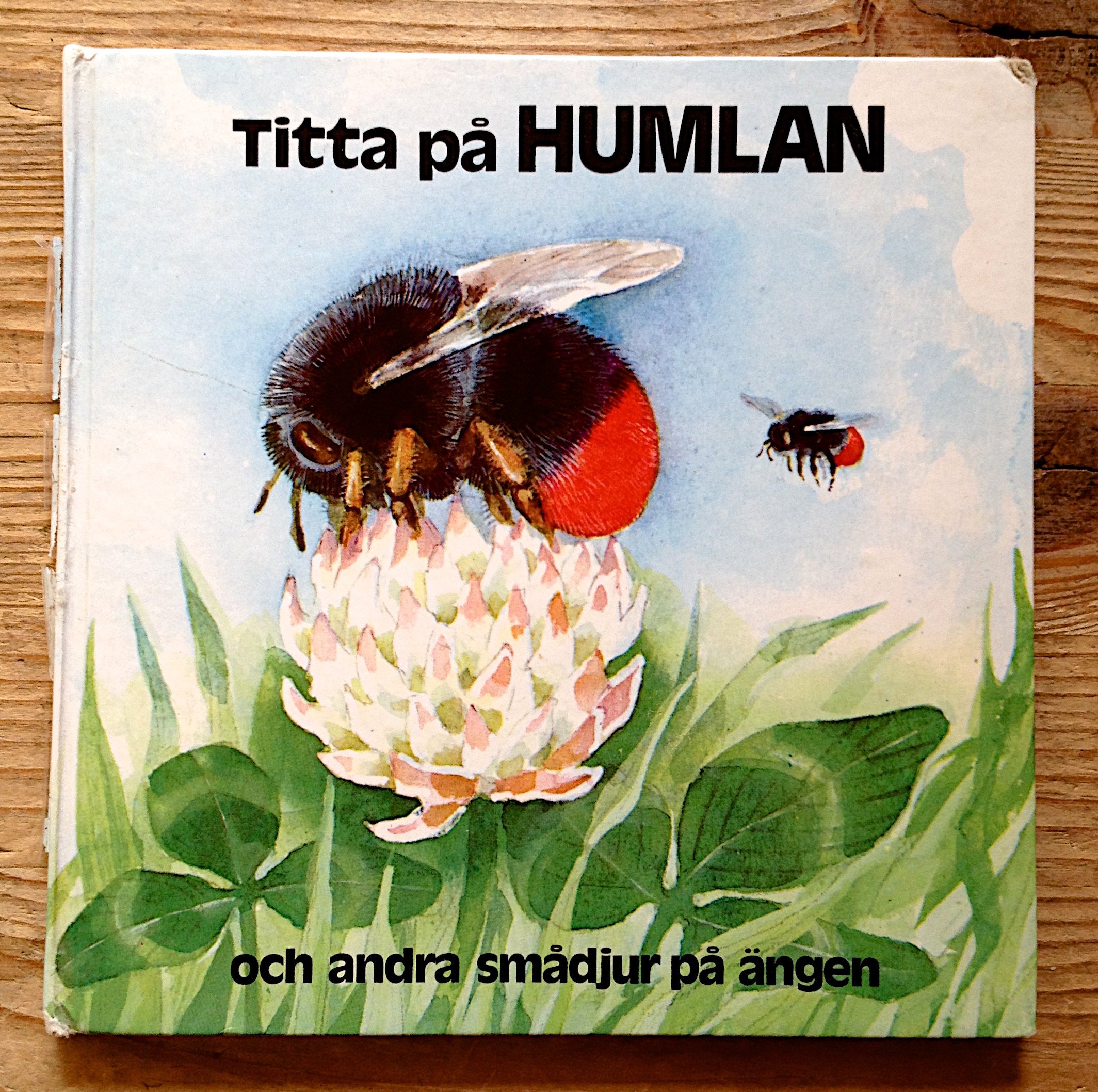 Titta på Humlan och andra smådjur på ängen