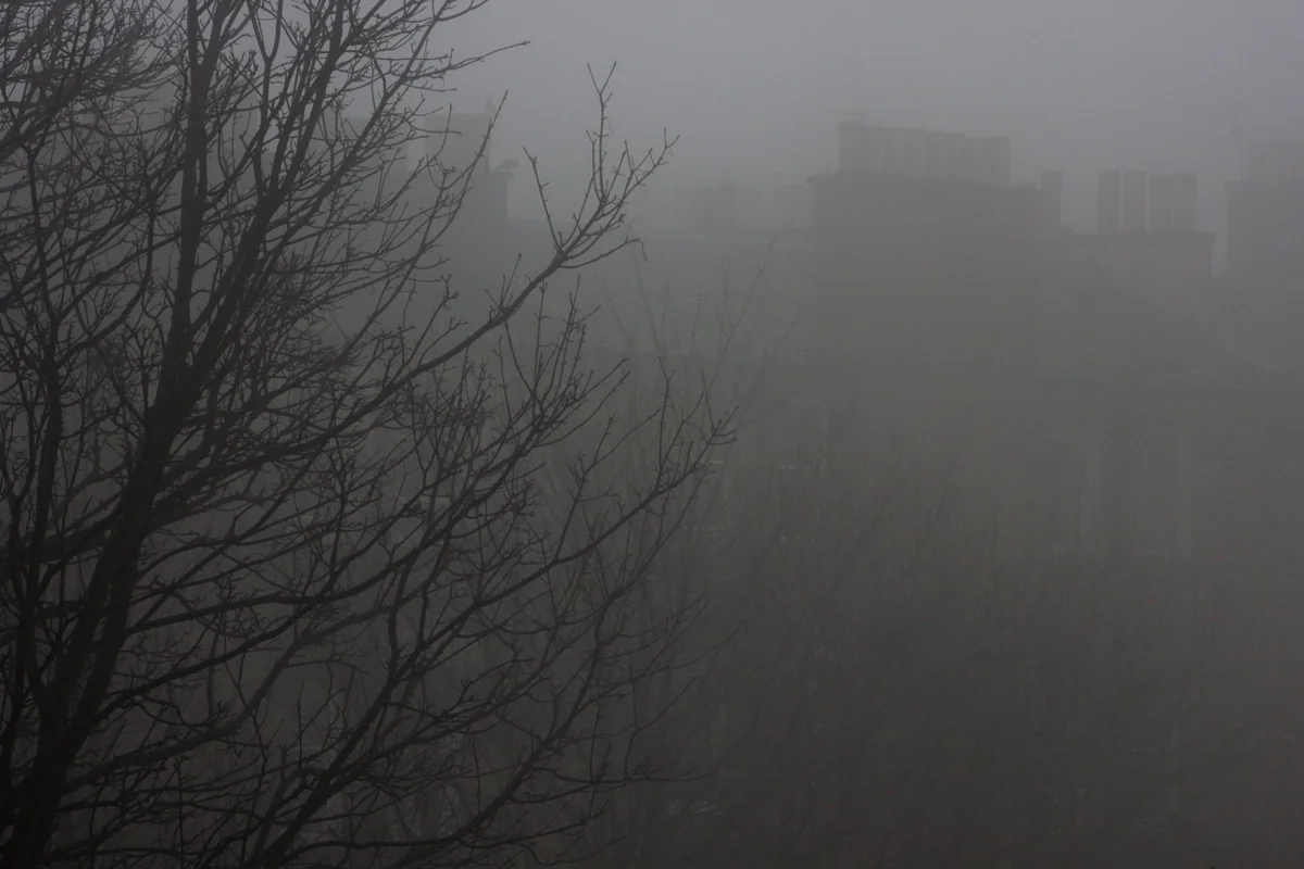 Mist .jpg
