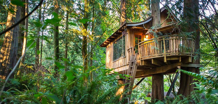 Photo Courtesy of TreeHouse Point 