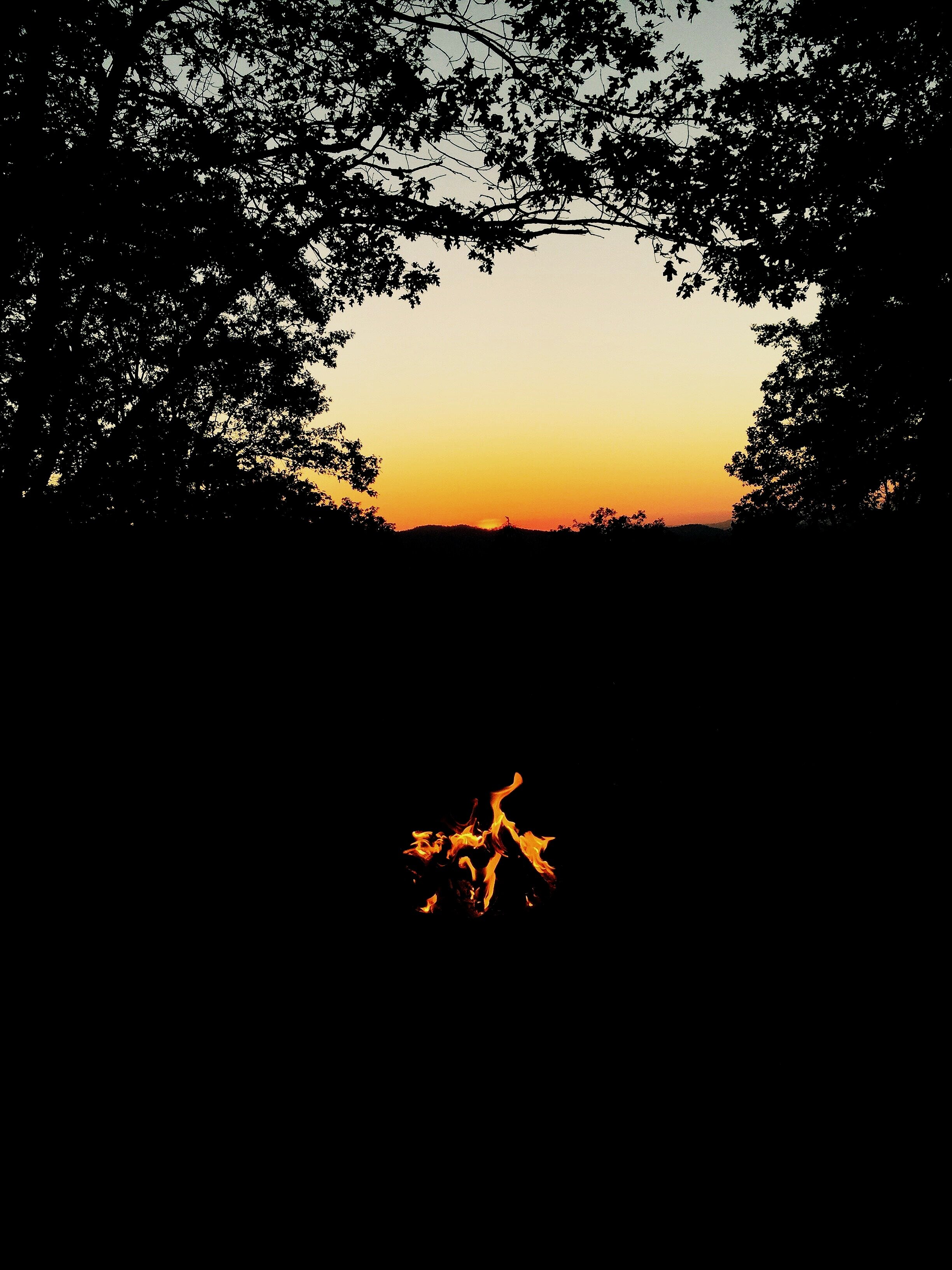 Camp Life