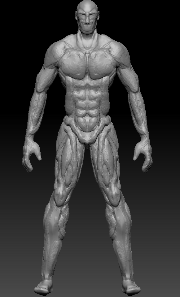 Anatomy Mockup - Front