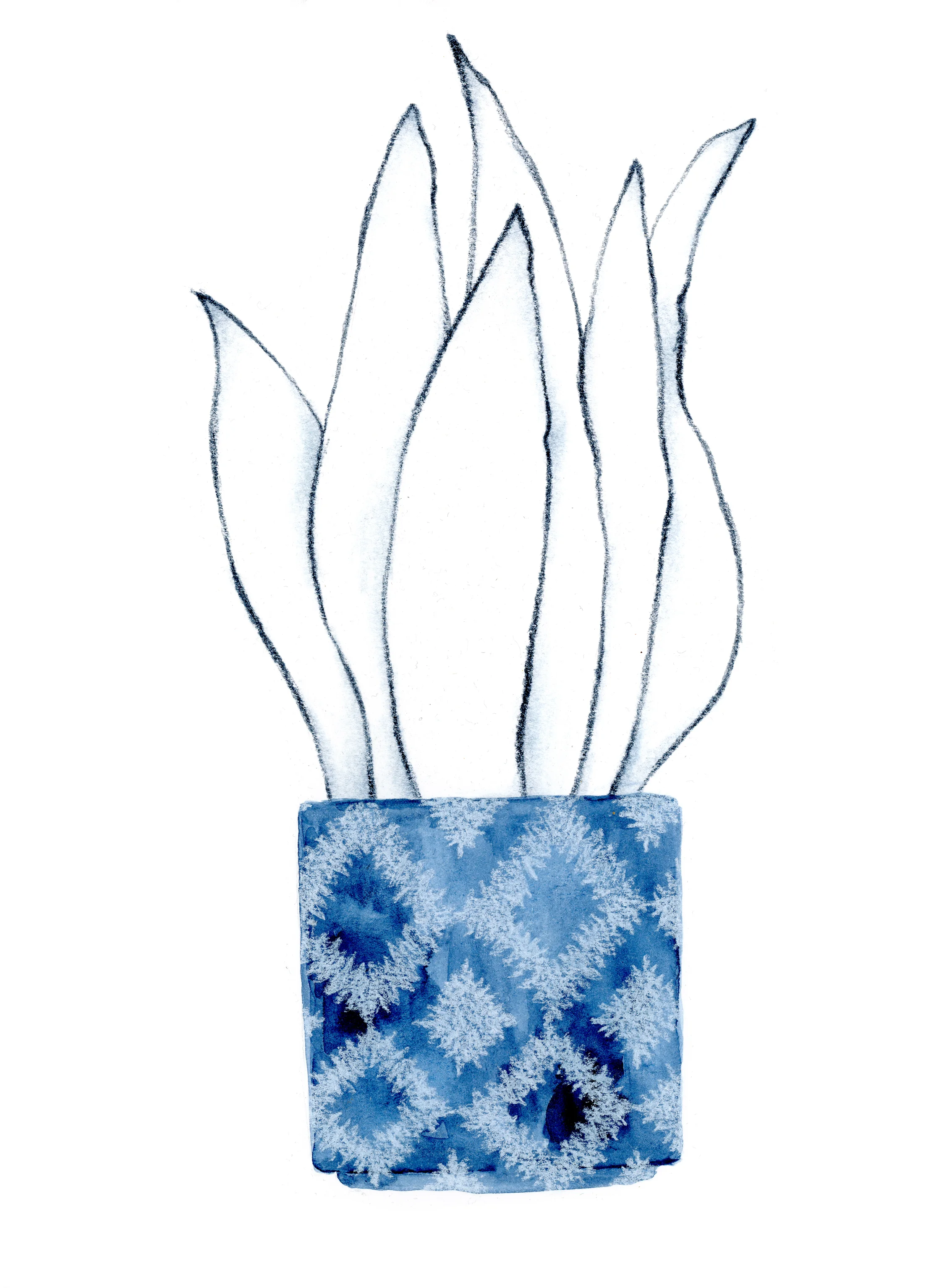 Plant_2.jpg