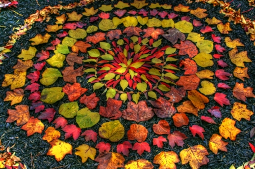 One of the precious gifts I would like to share with you is about how to step into more grace. I have learned that as we accept each moment as it is and let go of resistance, grace can have space to be present. Read more..