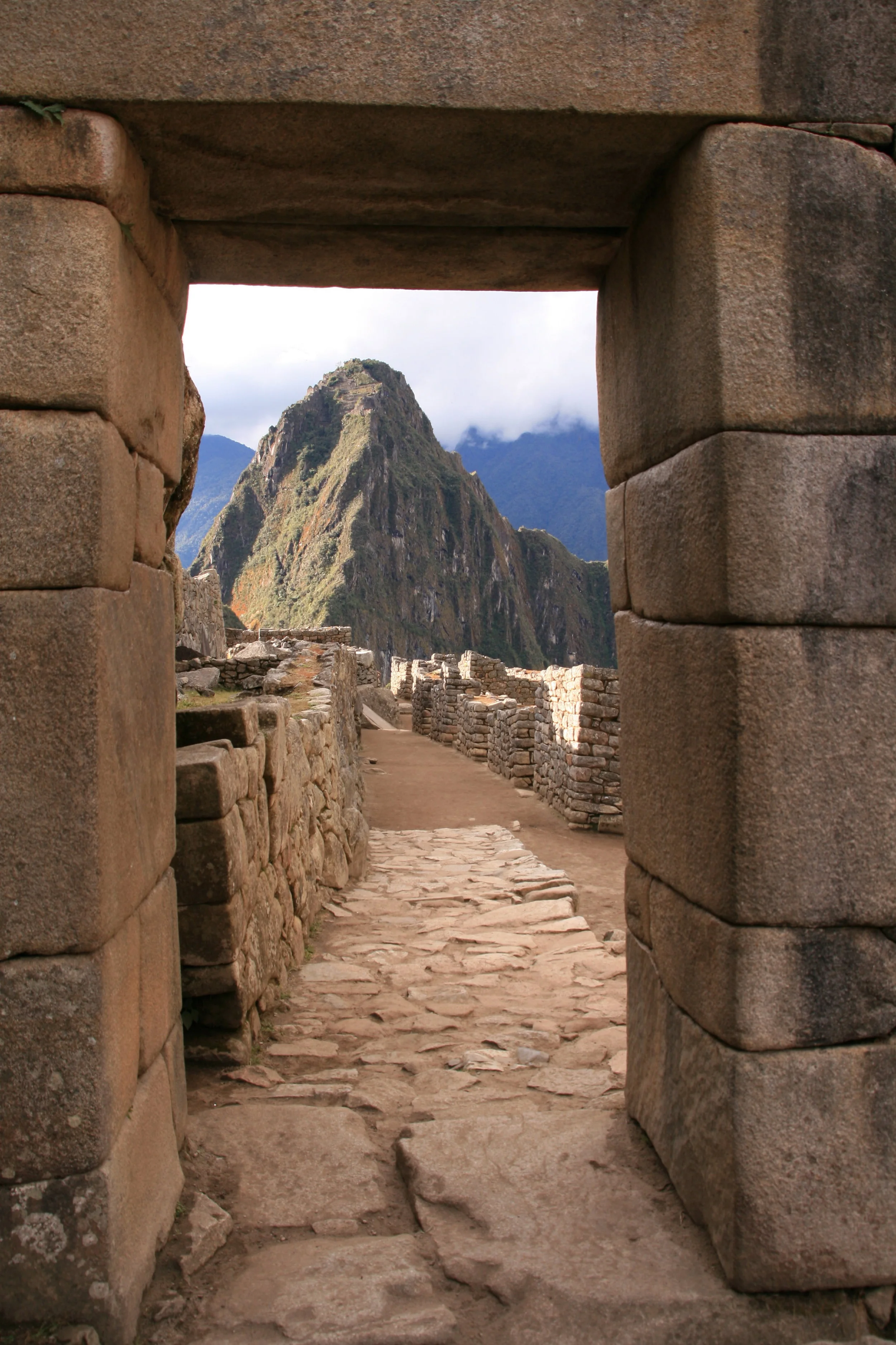 backgroundoption2.jpg