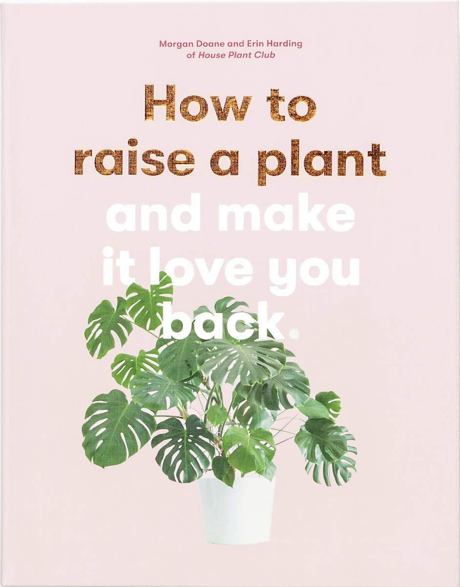 How to Raise a Plant