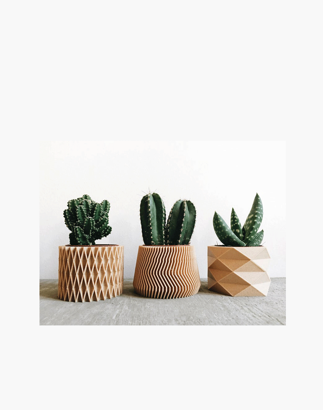 Indoor Planters