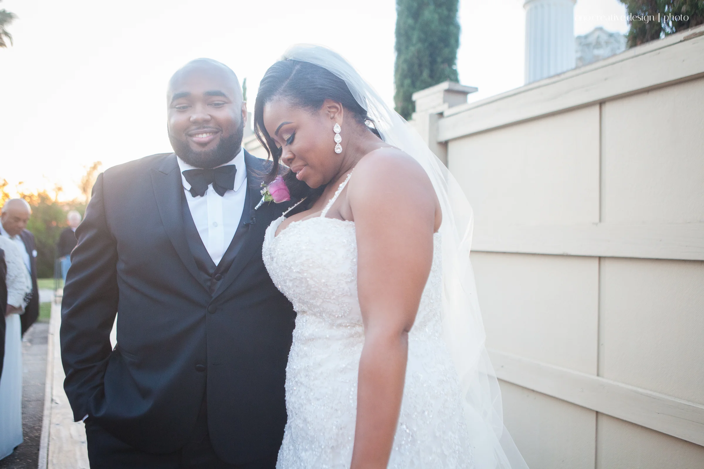 Wedding Party & Family Portraits