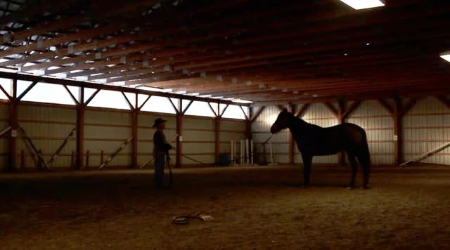  It’s with the utmost interest I came to direct and shoot this manifesto for the Veteran Barn Door Project. Since then, I have been documenting several of their horsemanship clinics with veterans suffering from TBI and PTSD to continue to contribute 