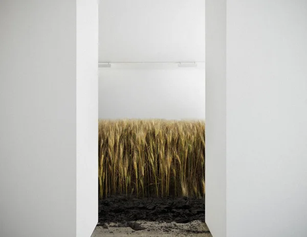 grass.jpg
