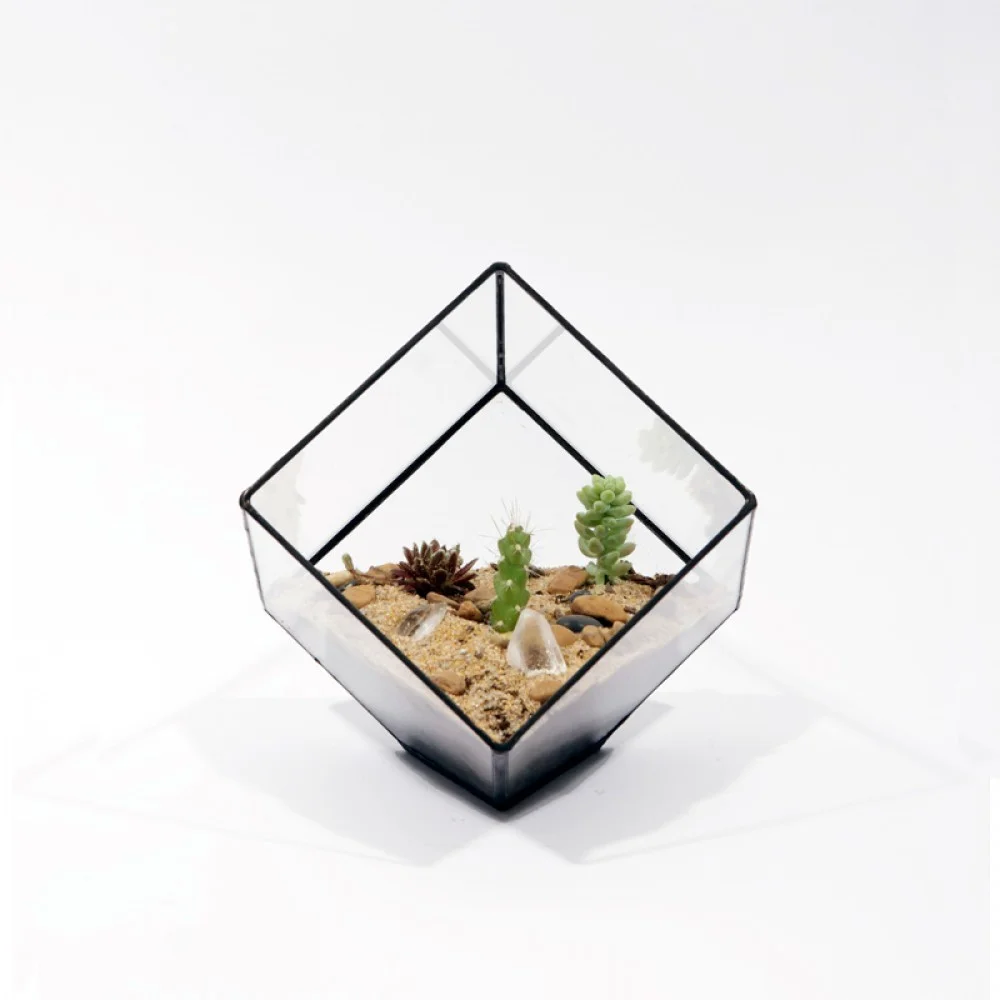 Terrariums by Score + Solder