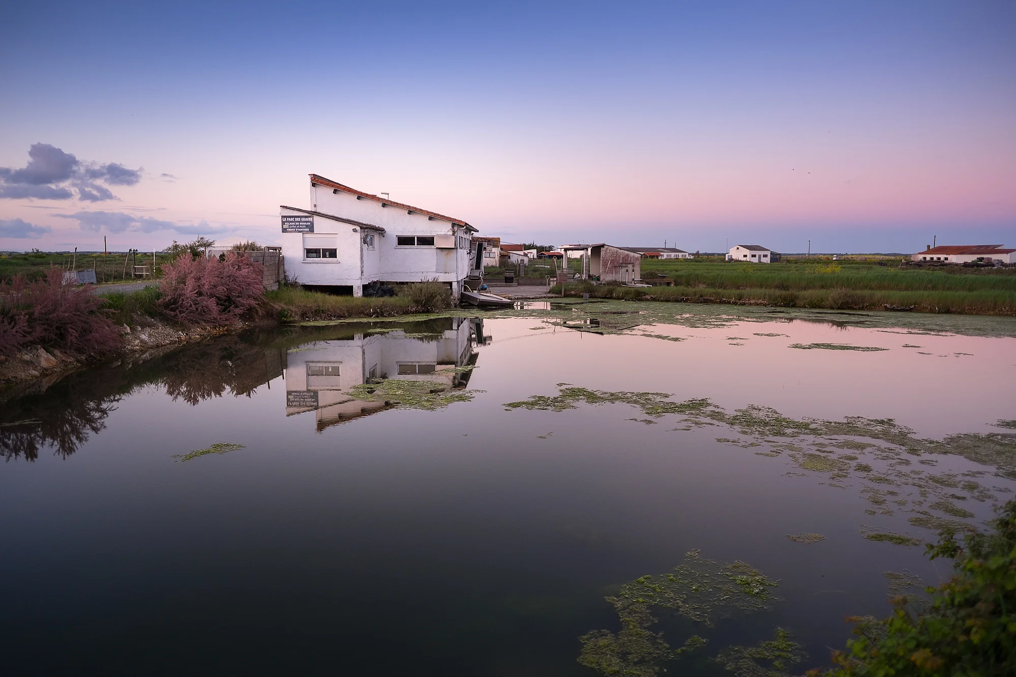 © Patrice Michellon - f/1.4, 200 ISO, 1/280s