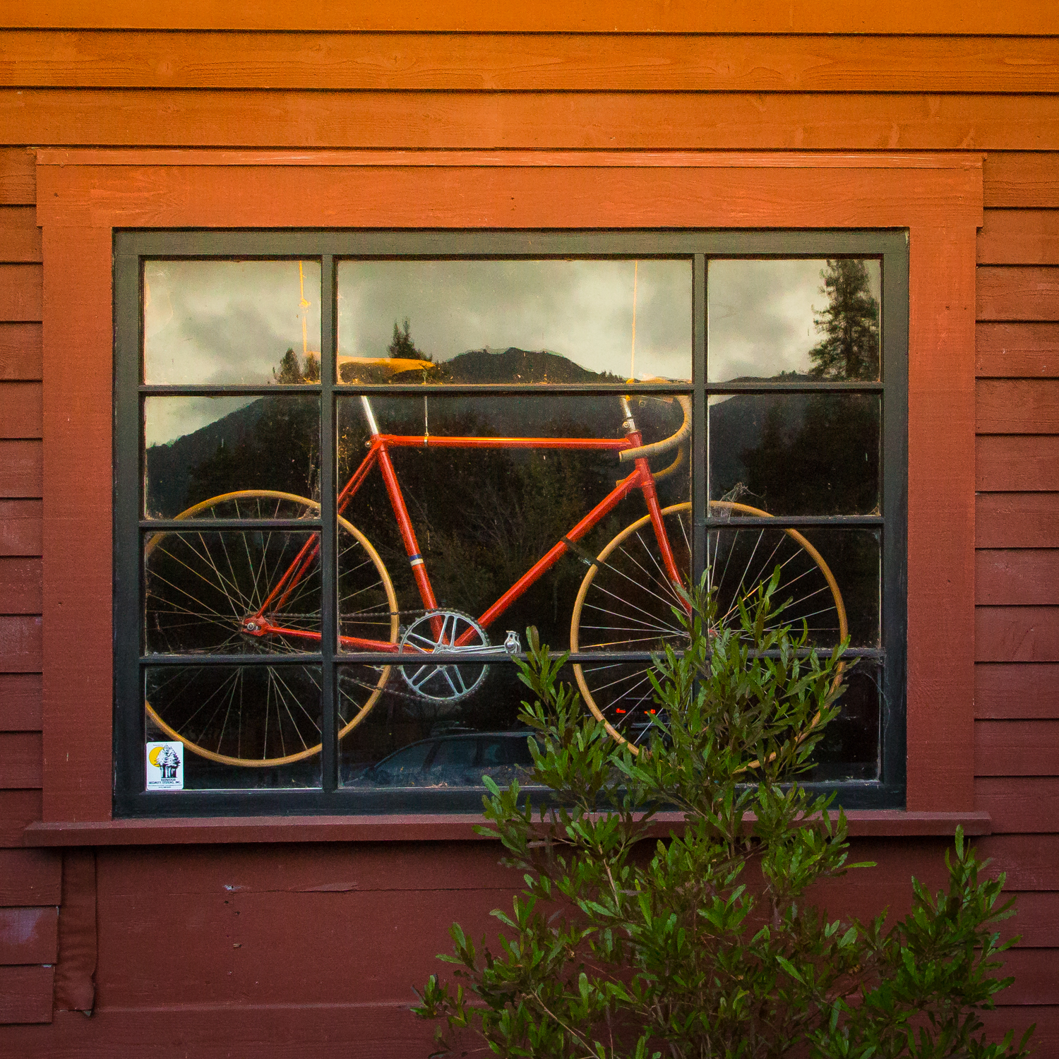 Bicycle on Mt. Tam