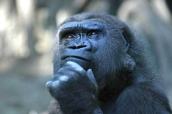 Thoughtful2.jpg