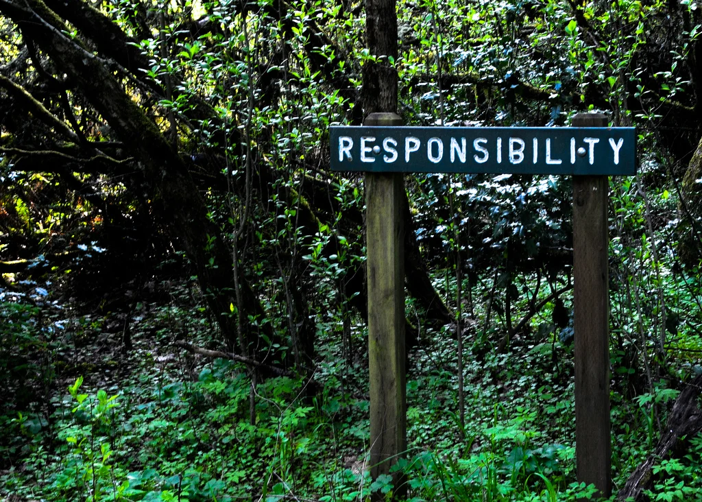 Are You Infected with the Responsibility Virus?