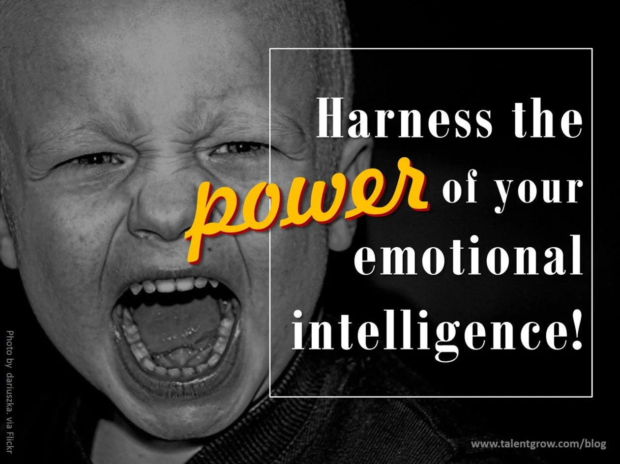 Harness the power of your emotional intelligence! — TalentGrow LLC