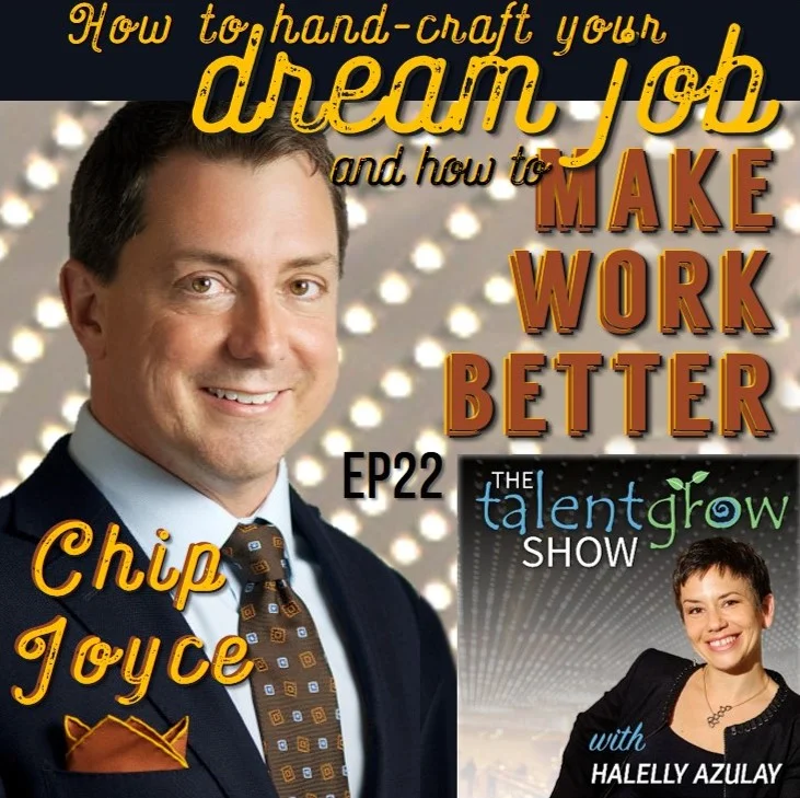 Ep22: How to hand-craft your dream job and how to make work better with Chip Joyce