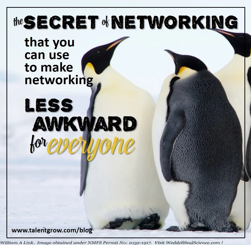 The secret of networking that you can use to make networking less awkward for everyone