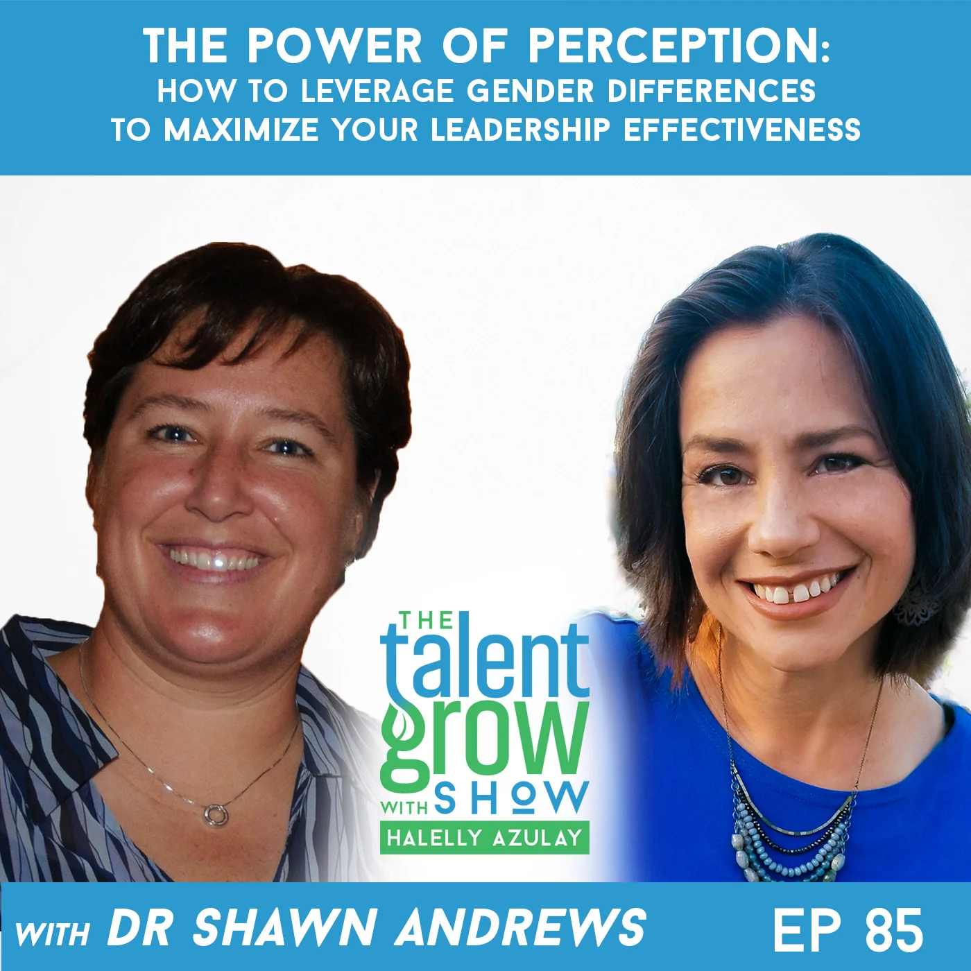 85: The Power of Perception – How to Leverage Gender Differences to Maximize your Leadership Effectiveness with Dr. Shawn Andrews