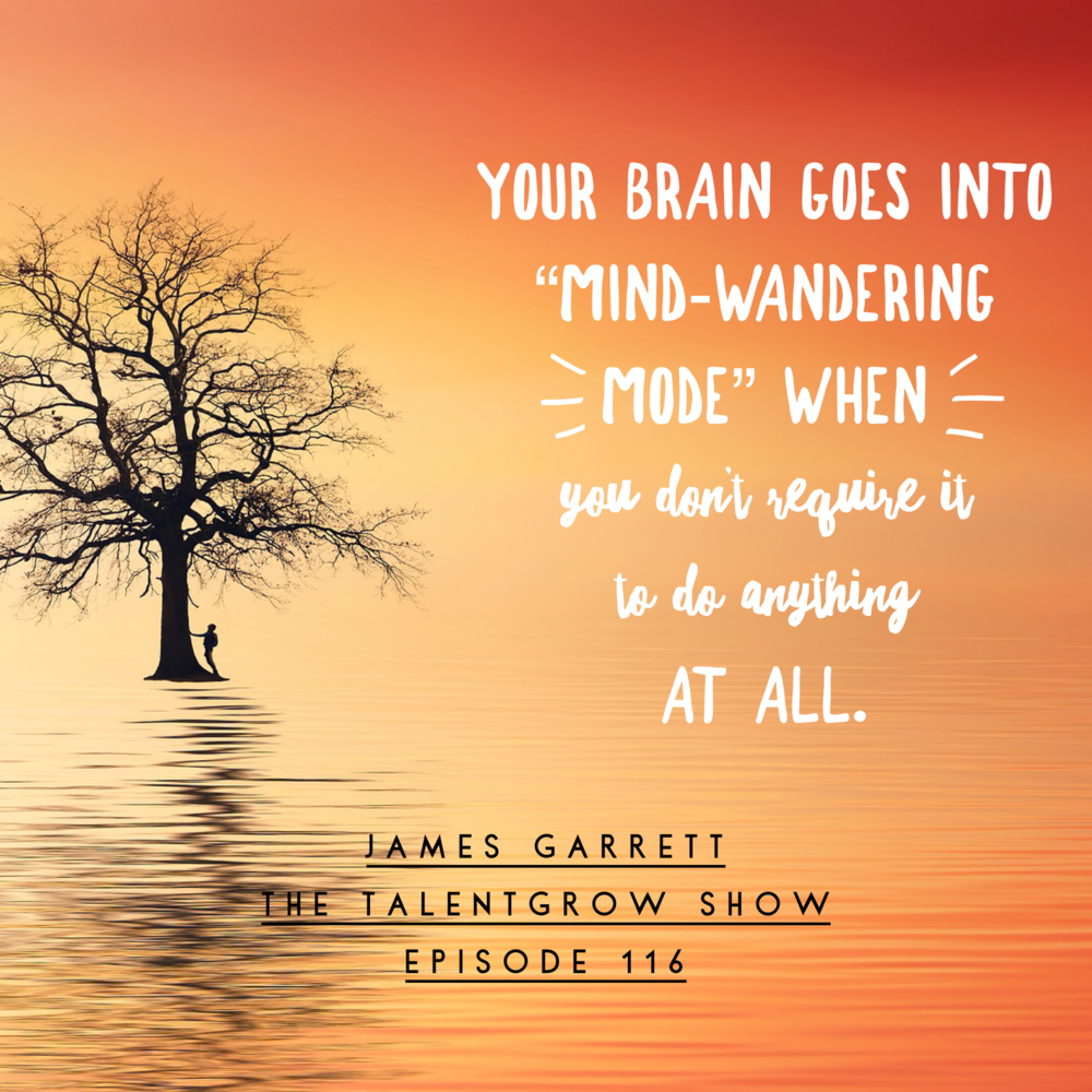 116: practical neuroscience hacks for increasing creativity, motivation, and productivity with James Garrett