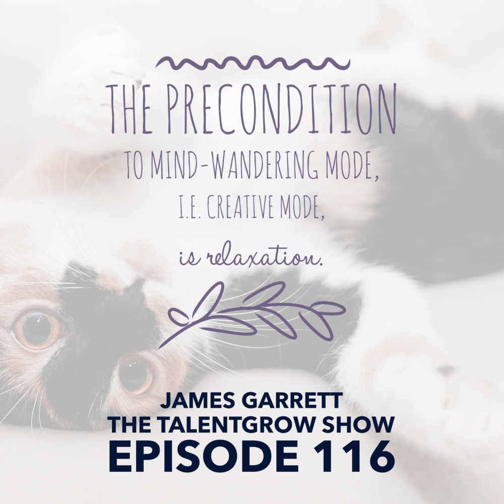 116: practical neuroscience hacks for increasing creativity, motivation, and productivity with James Garrett