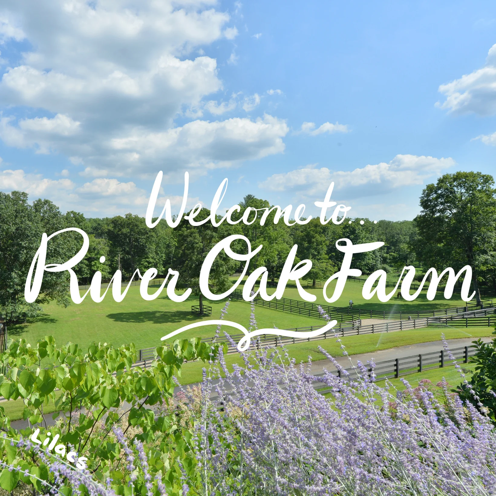 01_riveroak_01-05.jpg