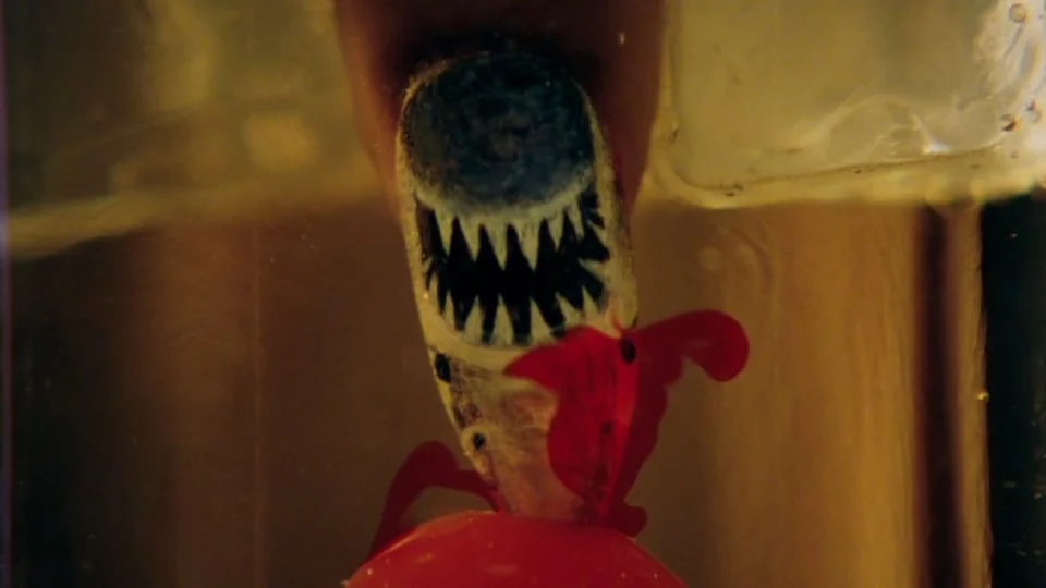 SOUTHERN COMFORT: SHARK