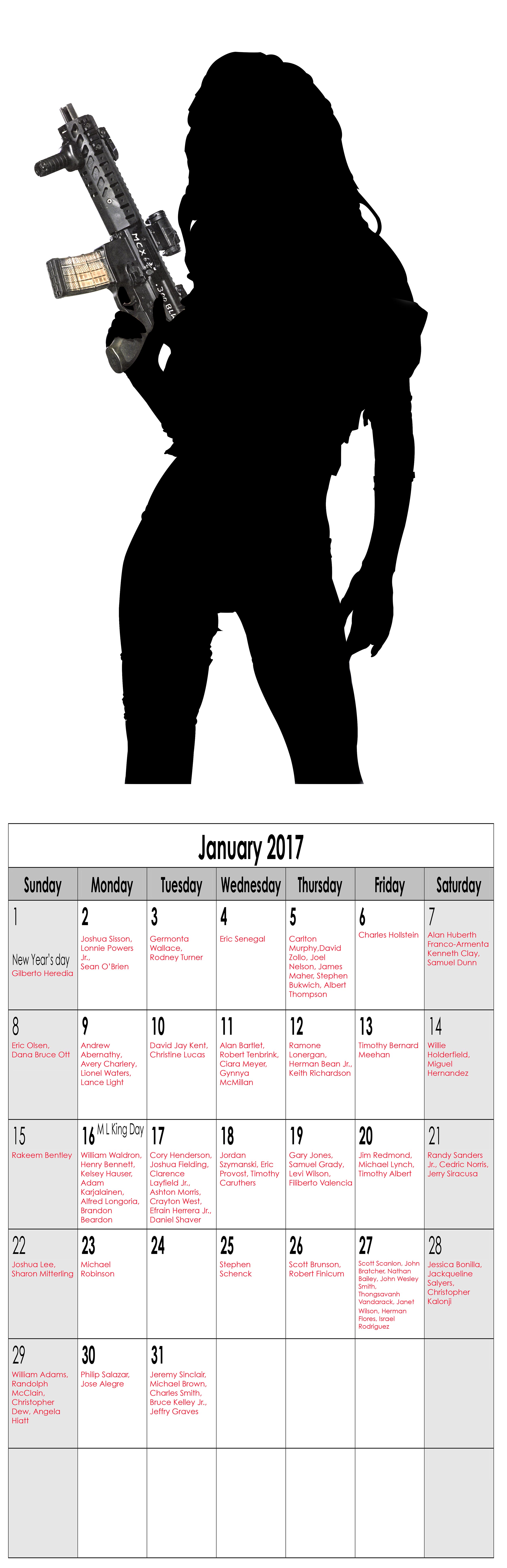 Year in Review (Miss January), 2016, Archival Pigment Print, 11"x34"