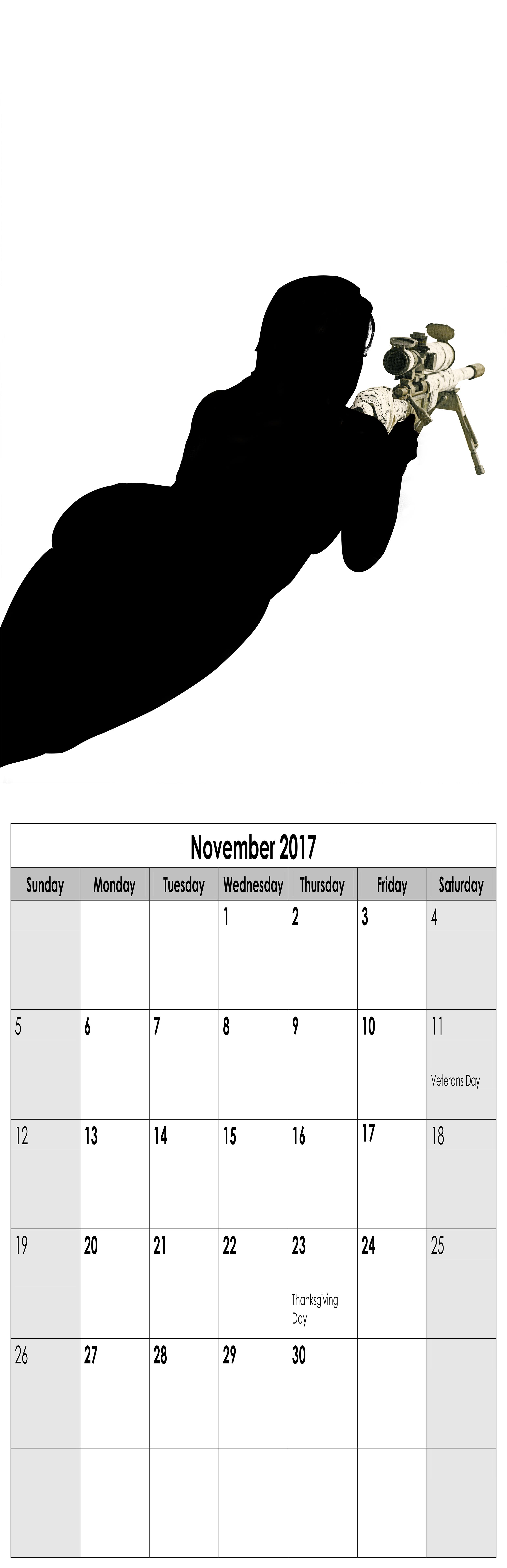 Year in Review (Miss November), 2016, Archival Pigment Print, 11"x34"