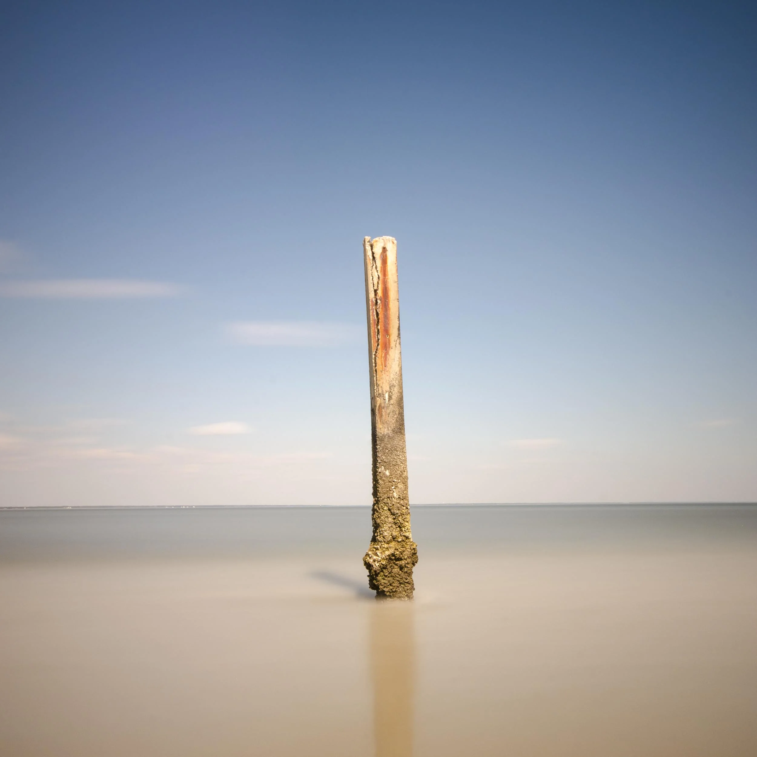 Permanence, 2014, Archival Pigment Print, 24"x24"