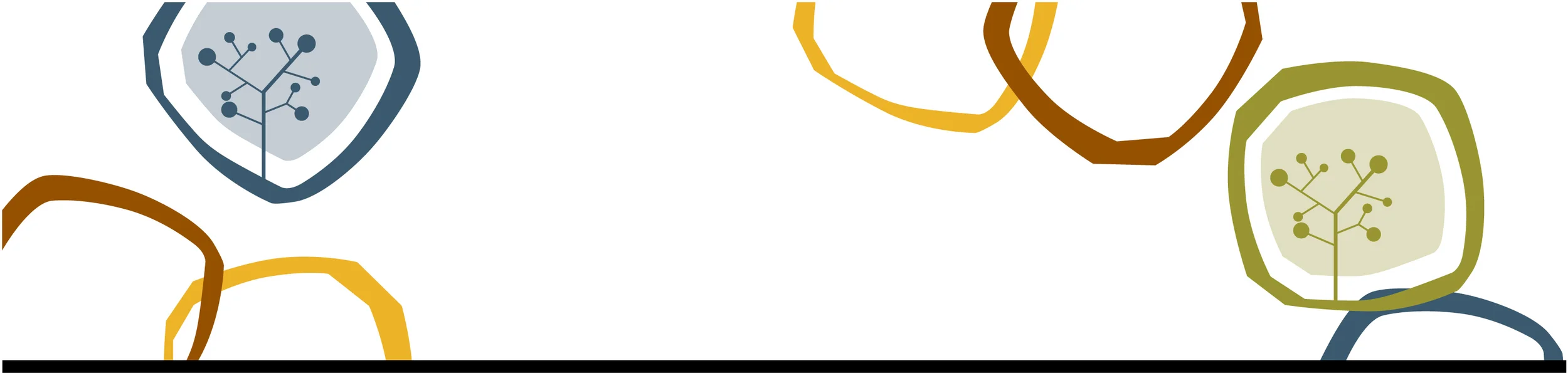 banner_color_ajustado6.jpg