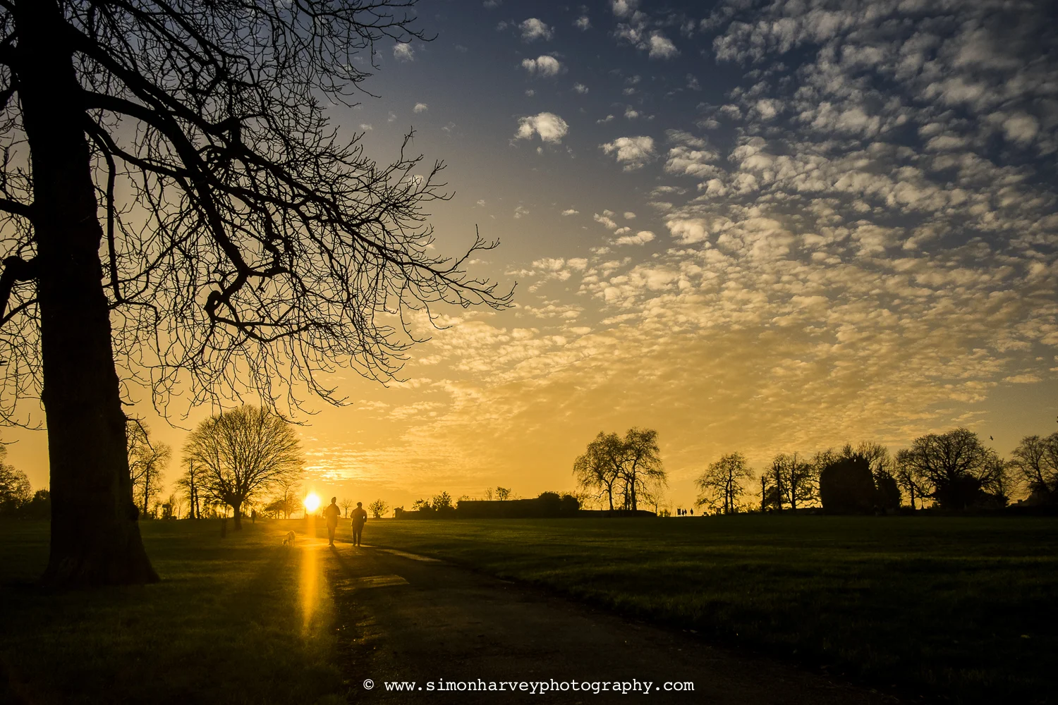 Rolling around on the floor in Brockwell park.... either gets you collected by an ambulance or a nice picture :)