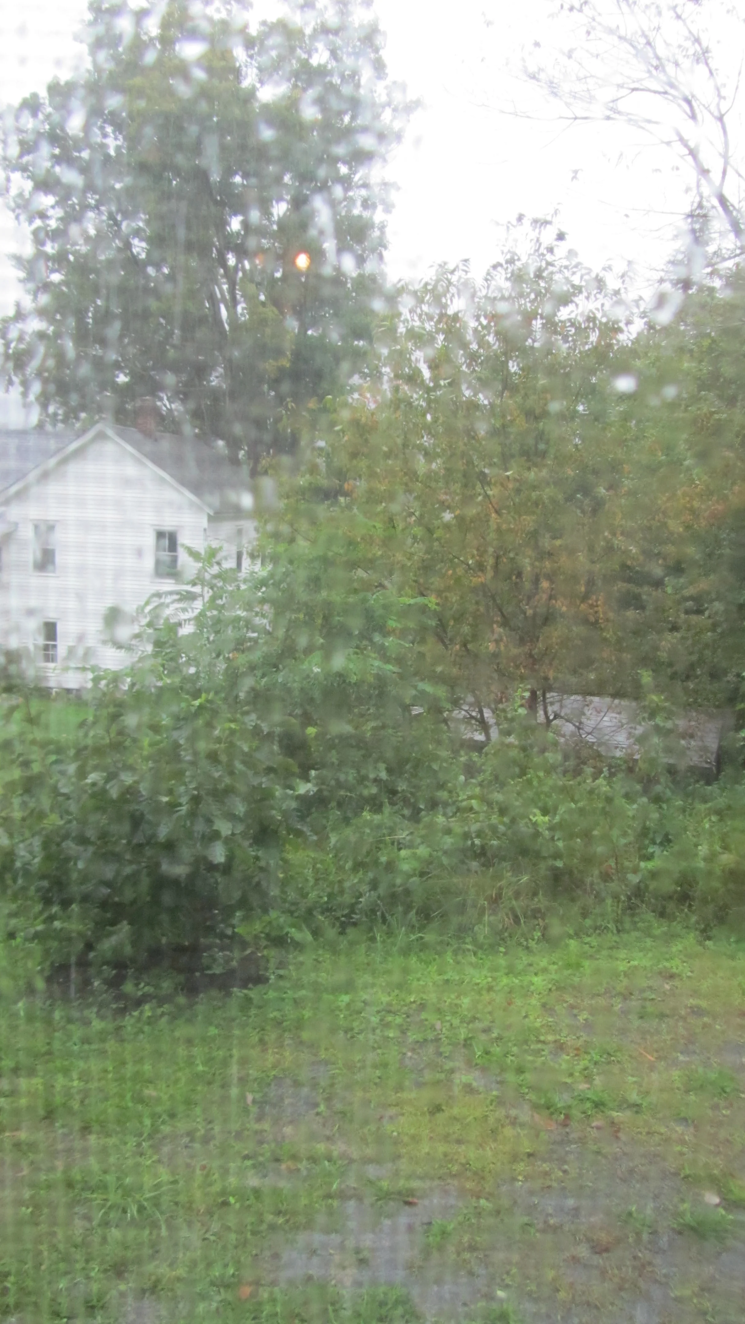 Week 19's Thing - Many things in many places