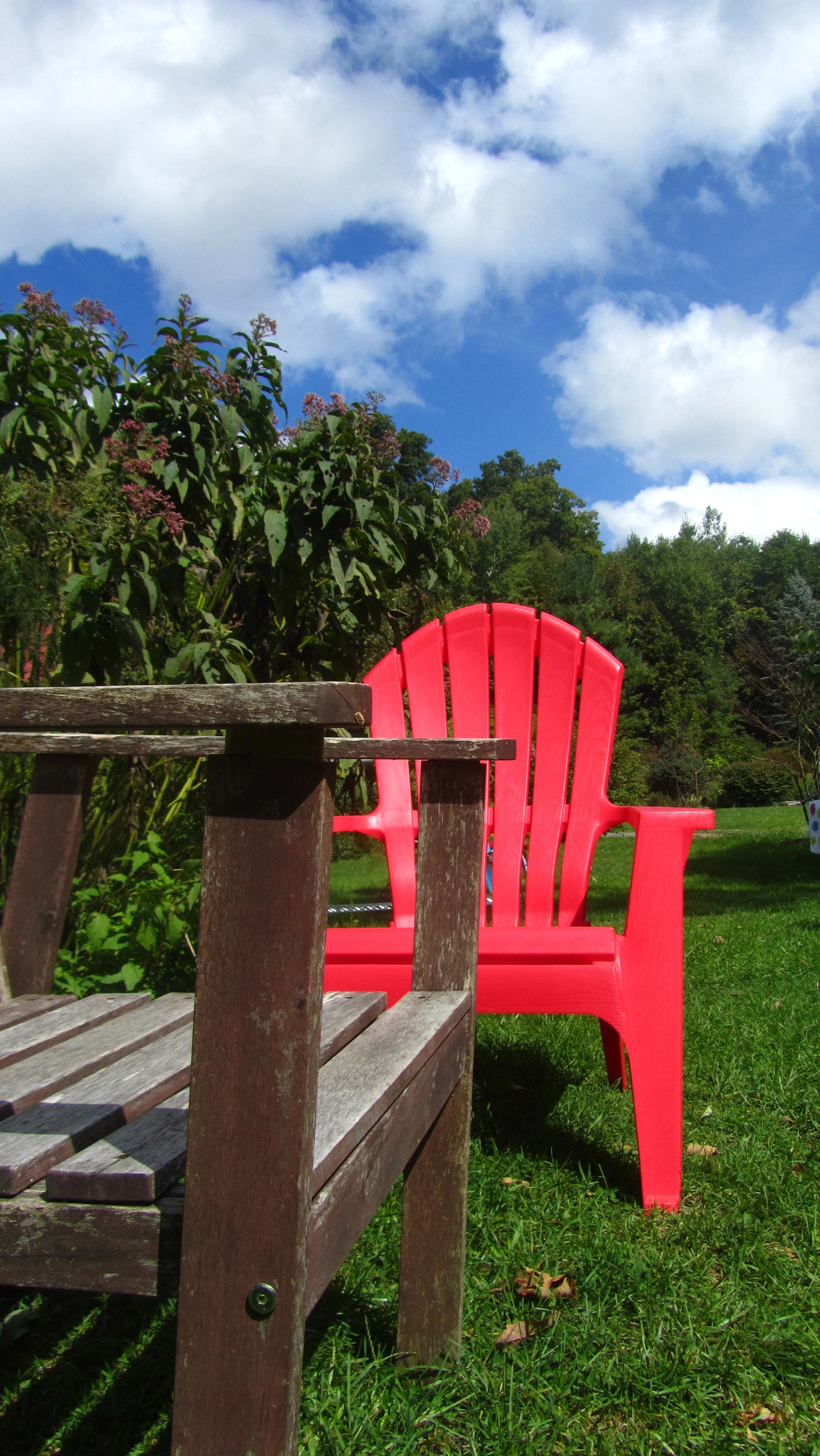 Week 19's Thing - Many things in many places