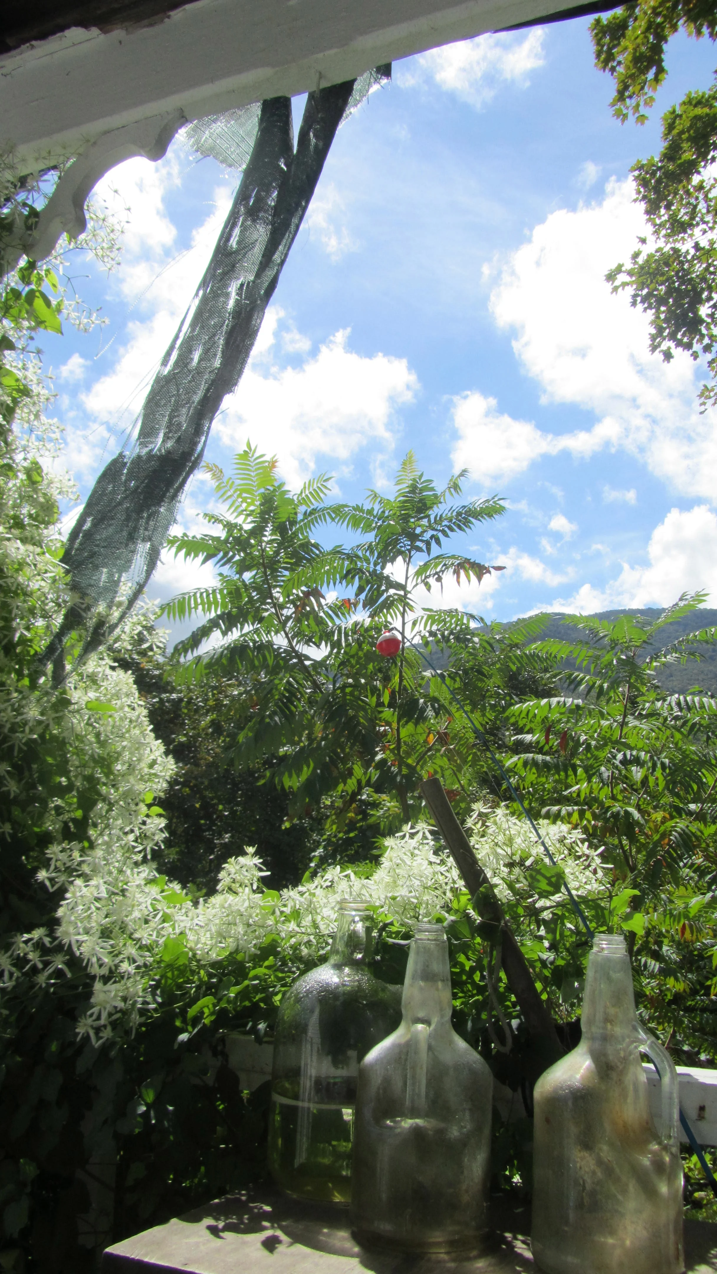 Week 19's Thing - Many things in many places