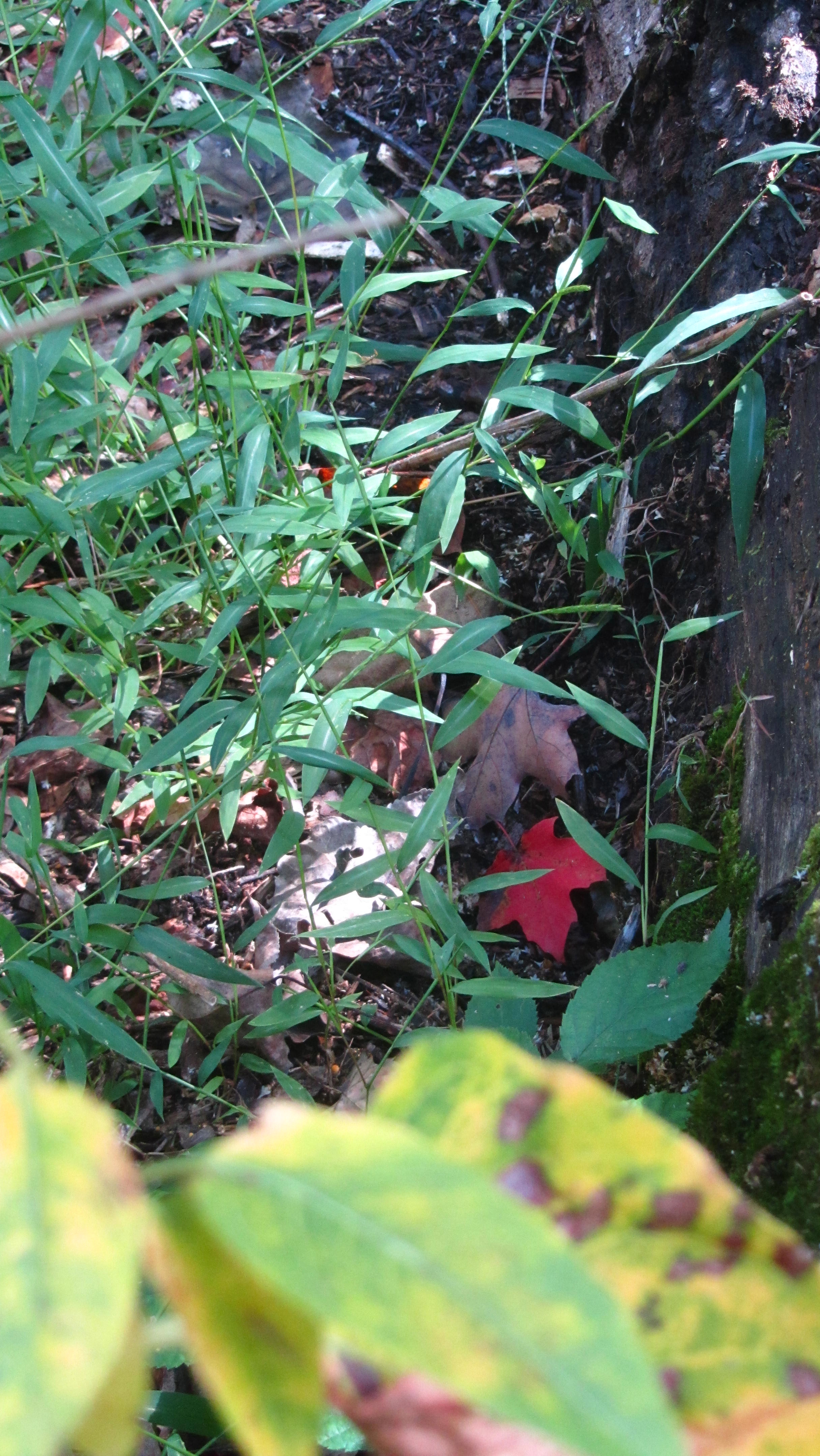 Week 19's Thing - Many things in many places