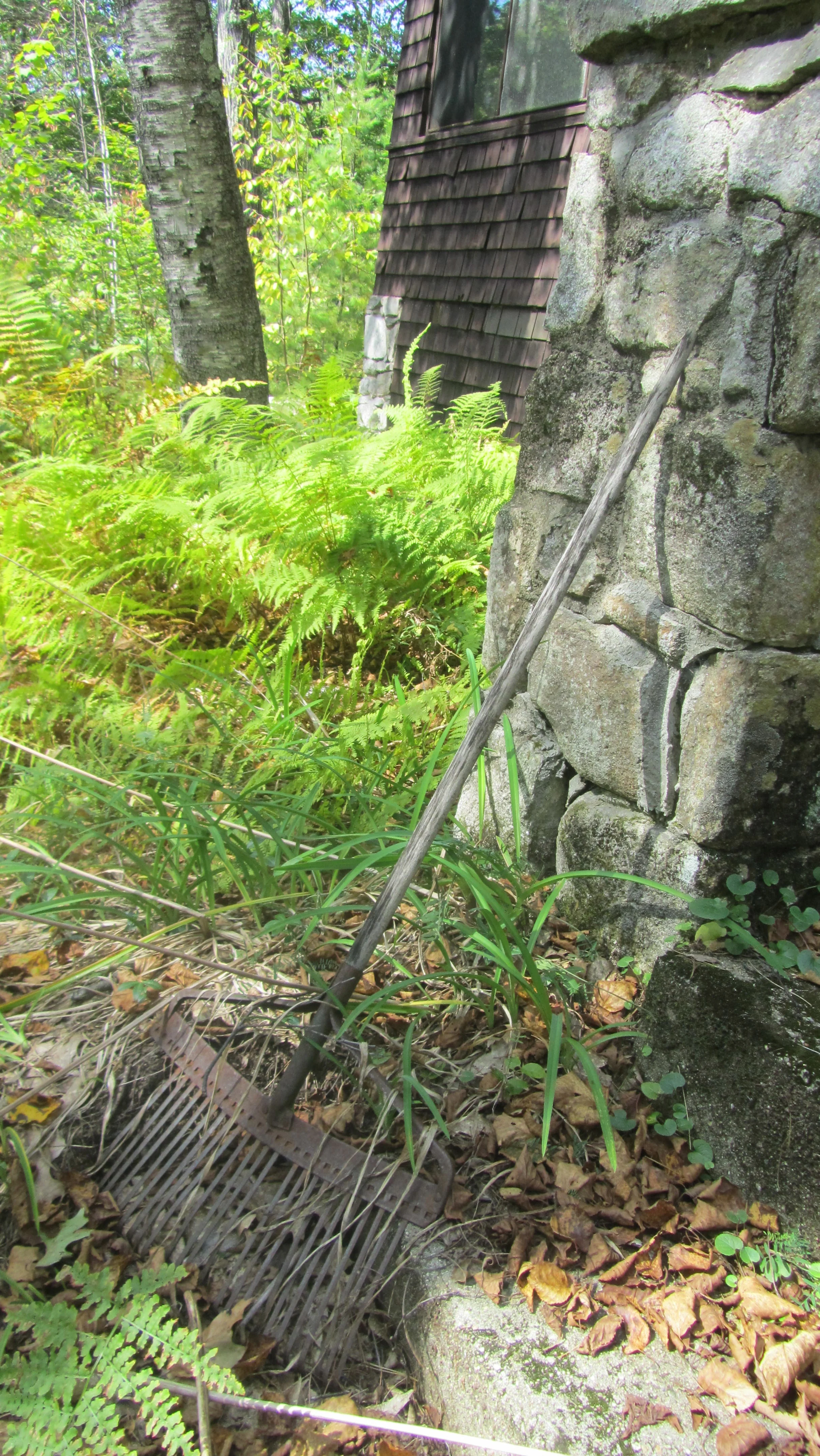 Week 19's Thing - Many things in many places