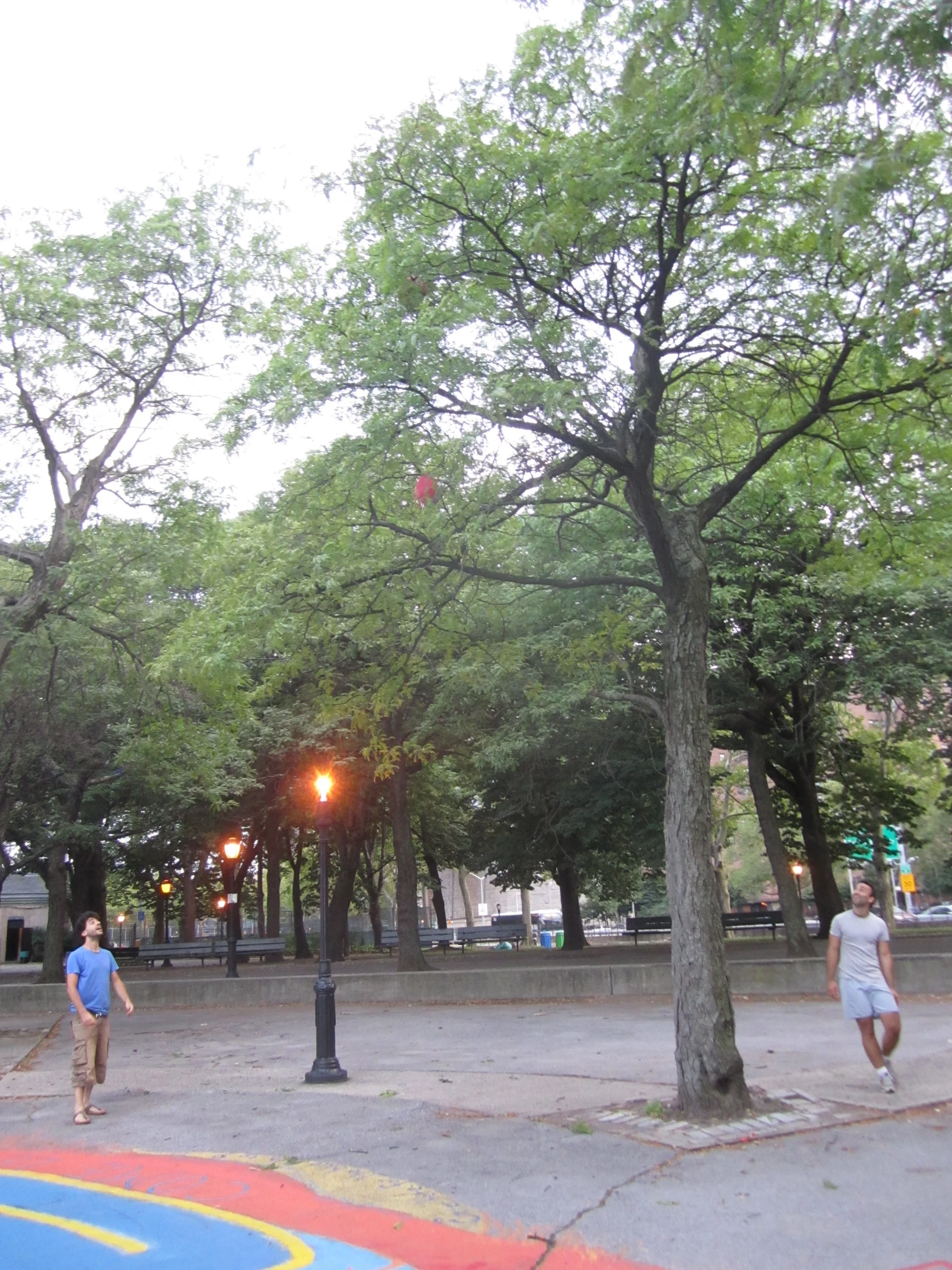 Week 11's Thing - Kick(Ass)Ball