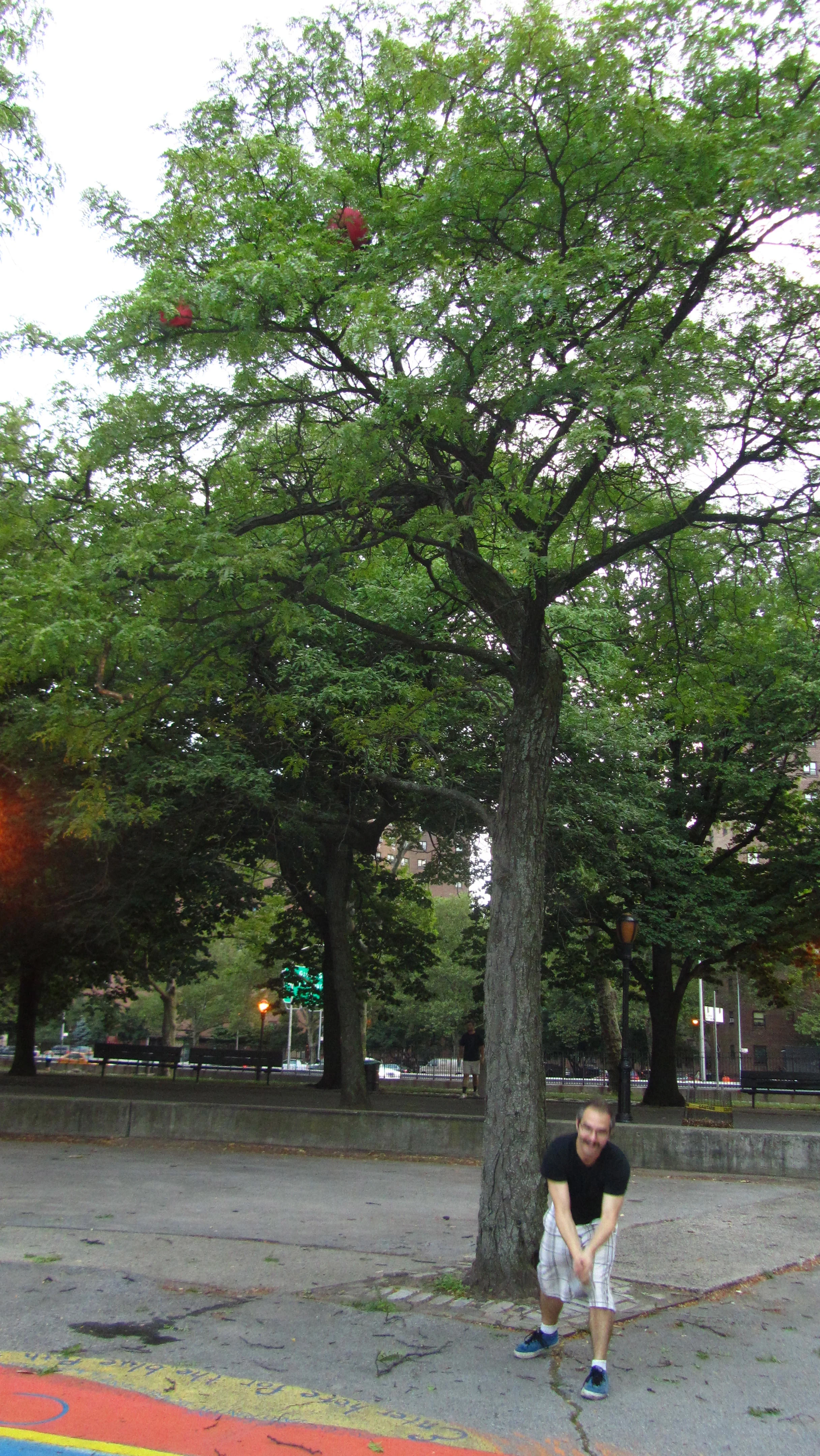 Week 11's Thing - Kick(Ass)Ball