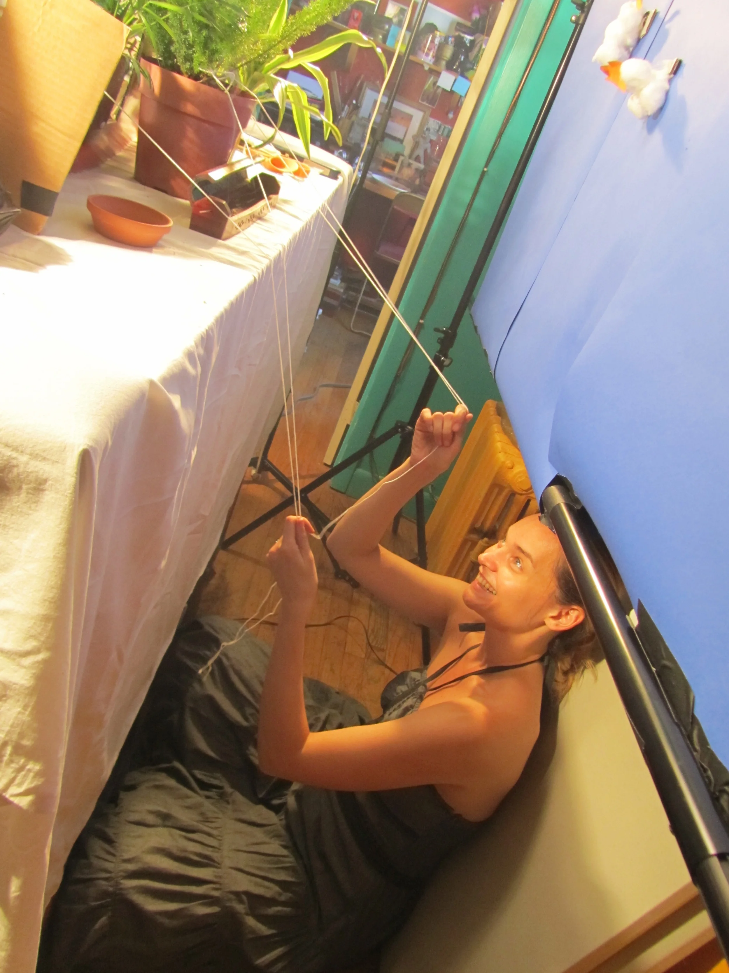 Week 9's thing - Arbor Day (the teaser)