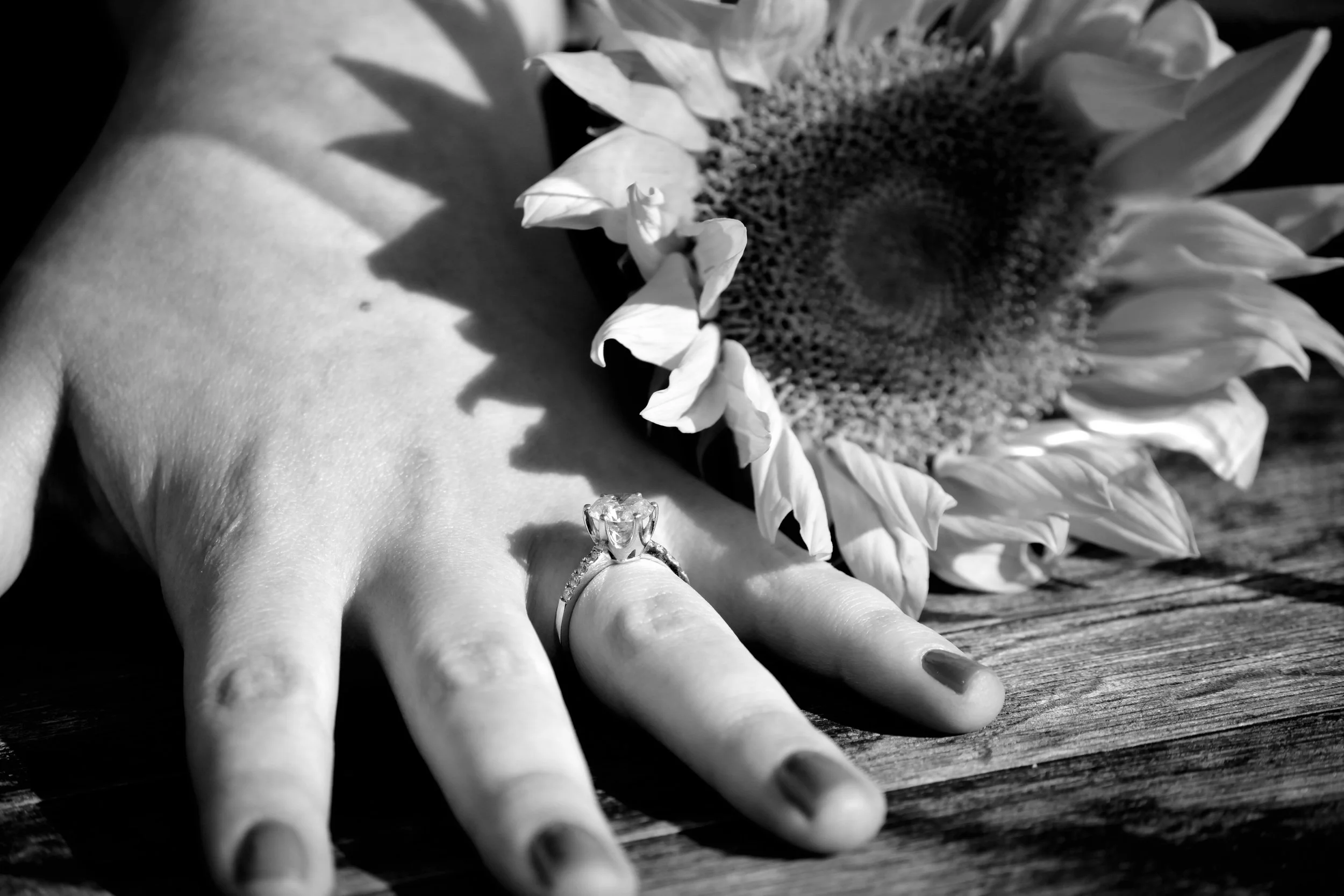 The Ring
